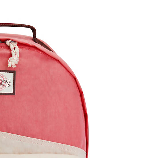 Kipling Damien Large Backpack Laptoptassen Roze | België 1583QM